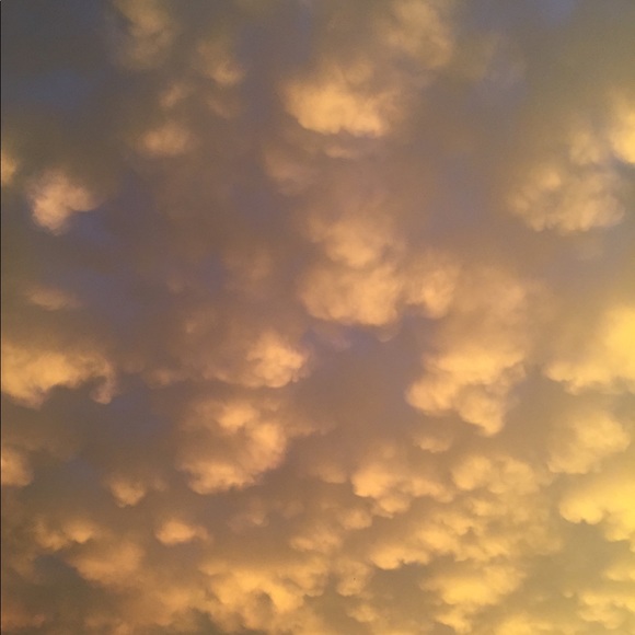 Meet your Posher, Sarah - Picture 1 of 1